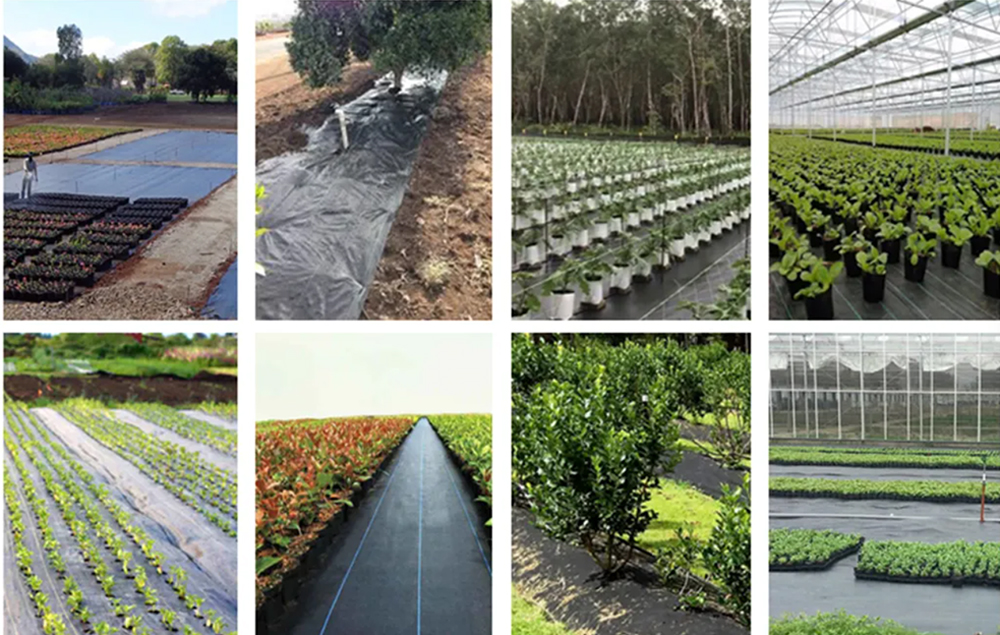 Detailed Images of Greenhouse Debris Collection Tarp