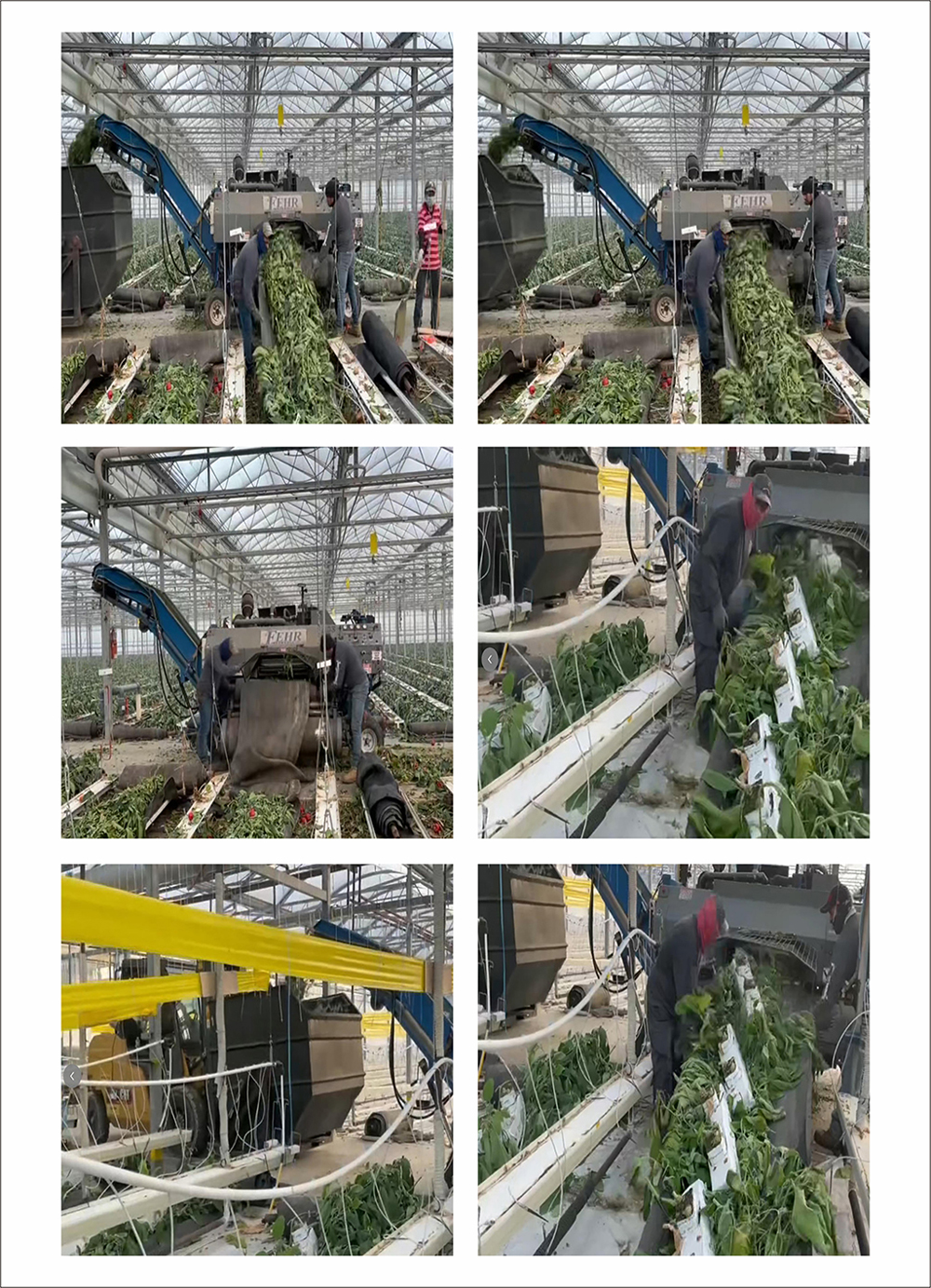 Detailed Images of Greenhouse Debris Collection Tarp