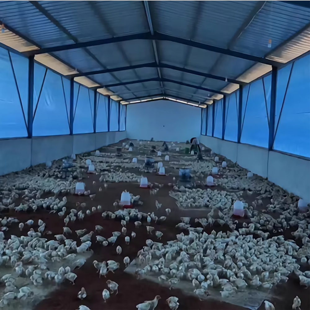 Detailed Images of Livestock Tarps