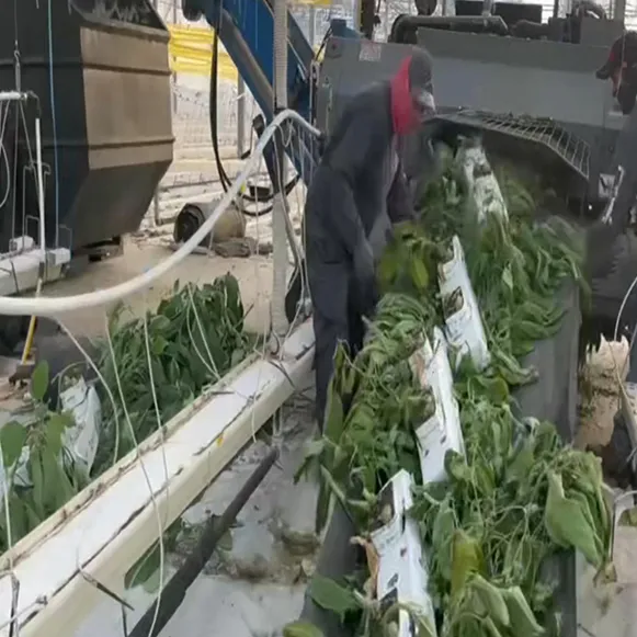 Greenhouse Debris Collection Tarp Structure Details