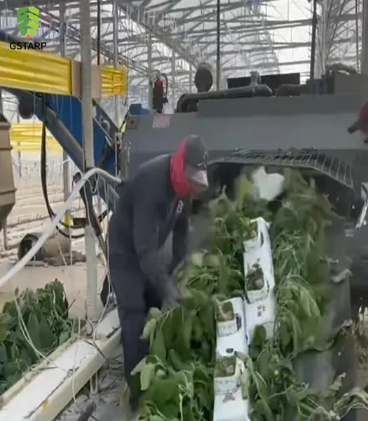 Greenhouse Debris Collection Tarp