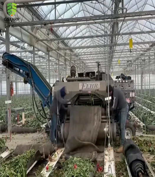 Greenhouse Debris Collection Tarp