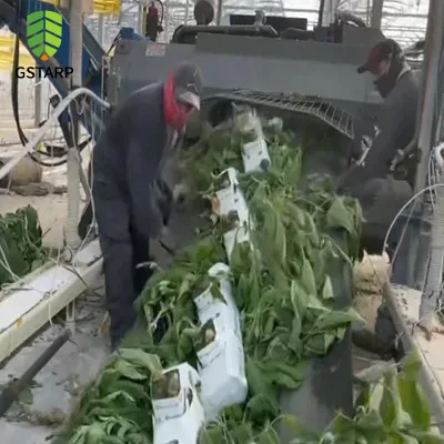 Greenhouse Debris Collection Tarp