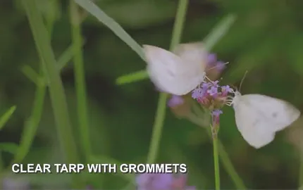 Transparent Tarp Video 1