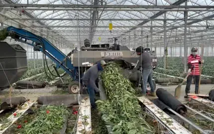 Greenhouse Debris Collection Tarp Video